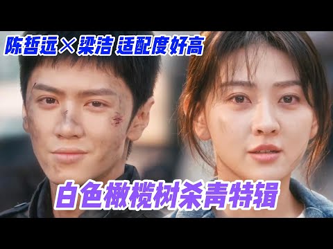 #白色橄榄树 全阵容官宣，陈哲远×梁洁适配度100%！行平凡之轨迹，成非凡之故事。以橄榄树为信仰，在正确的方向上做对的事