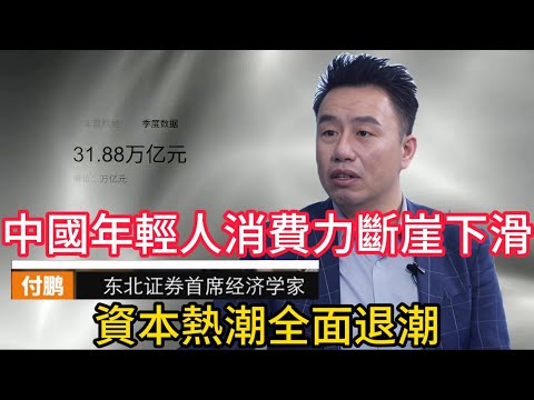 【付鹏重磅警示】中国年轻人消费力断崖下滑，资本热潮全面退潮，在人口结构变化下，年轻人还能撑起下一轮周期吗？#新消费泡沫 #情绪消费 #付鹏 #消费周期 #年轻人消费 #潮玩经济 #资本周期 #房价趋势