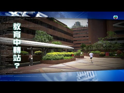 TVB新聞透視 ｜教育中轉站？ (繁／簡字幕)｜無綫新聞 TVB News