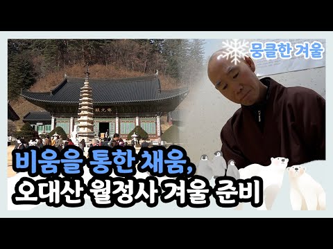 [뭉클한 계절 시리즈 '겨울'❄️] 힐링의 시간을 전하는 월정사에도 겨울이 찾아왔다 | KBS 다큐3일 20191129 방송