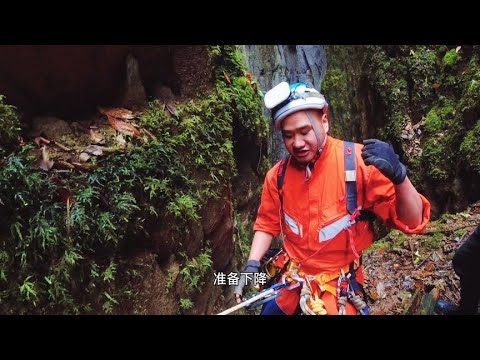 Exploring sinkholes and fissures, a golden riverbed was discovered inside, and a dragon pool is h...