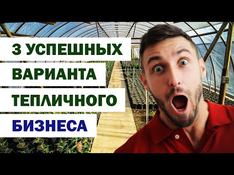 3 successful options for starting a greenhouse business.