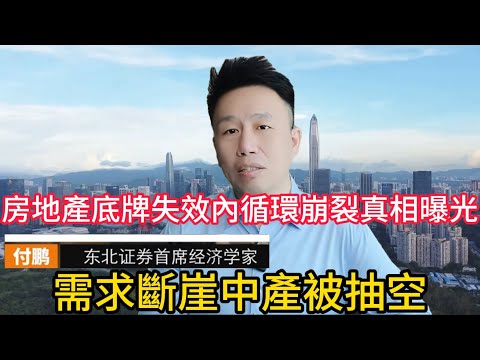 【付鹏紧急警告】房地产底牌失效：真正的危机才刚开始, 中产被“抽干”、房價不穩→資產縮水→消費熄火，這一刀究竟砍向誰？#付鹏 #中国经济 #需求不足 #资产负债表衰退 #中产阶级 #债务危机 #房地产