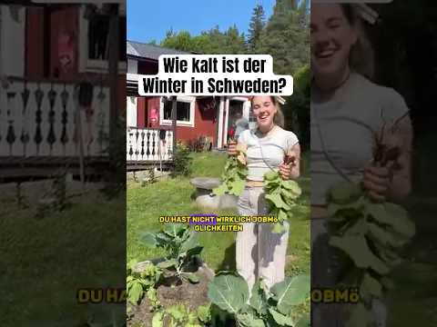 Wie kalt ist der Winter im Schwedenhaus? #ungewohnt