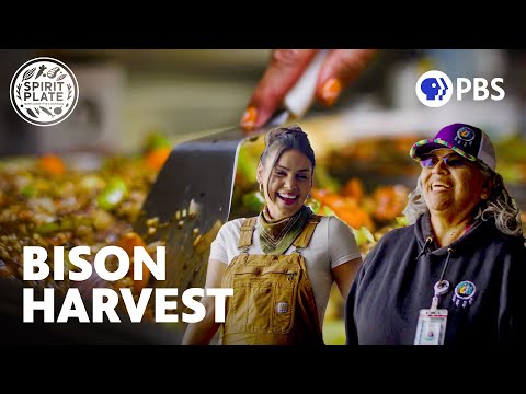 Cooking for the Powwow of a Lifetime | SPIRIT PLATE