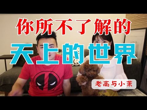 你所不了解的天上的世界   老高與小茉 Mr & Mrs Gao