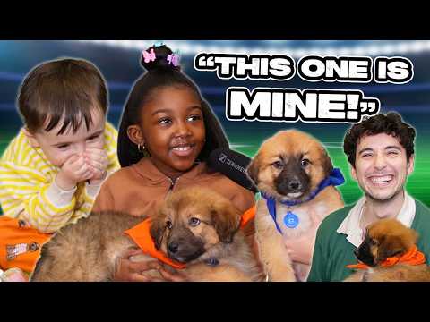 Puppy Takeover | Recess Therapy
