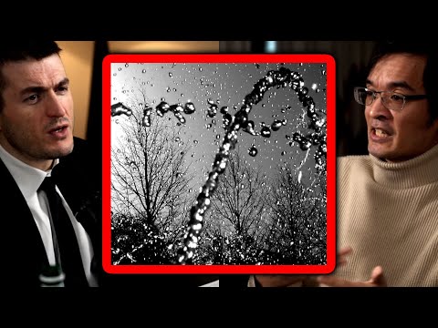 Terence Tao's genius idea for solving Navier-Stokes: Liquid computer | Lex Fridman Podcast Clips