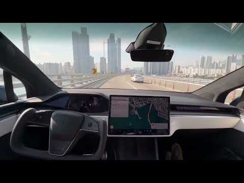 테슬라 FSD 부산 주행 (@Tslachan on X)