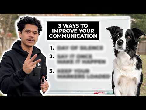 3 Tips to Improve Your Communication With Your Dog