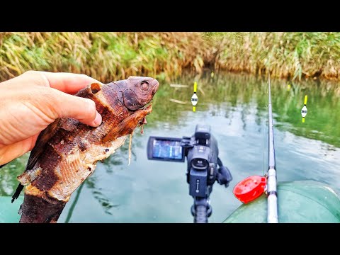 НЕ РЫБАЧЬ ТАК! УТАЩИЛИ УДОЧКИ, ПОГНУЛИ КРЮЧКИ! ВЗЯЛ РЫБУ НА РЫБАЛКУ!