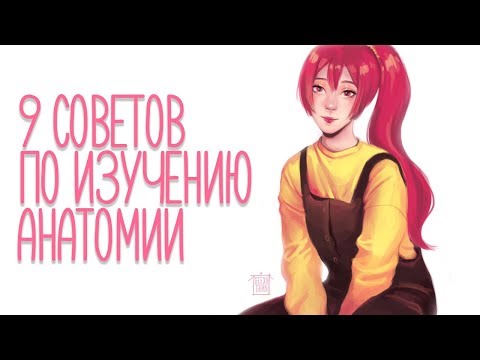 Как Выучить Анатомию? (Советы для новичков и не только~)