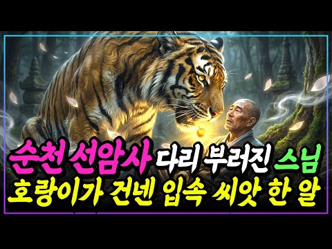 [불교이야기] 죽어가던 스님 앞에 호랑이가 뱉은 것, 그것이 천년 차밭의 시작이었다ㅣ순천 선암사 전설ㅣ자면서 듣는 불교이야기ㅣ불교소설
