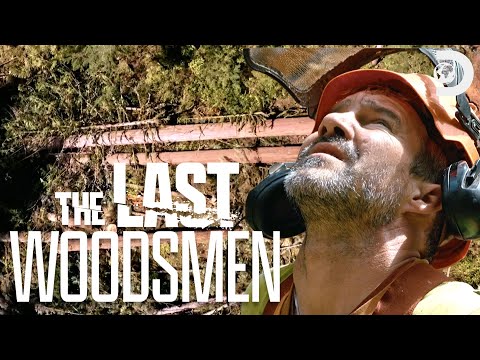 MOST Valuable Falls | The Last Woodsmen | Discovery
