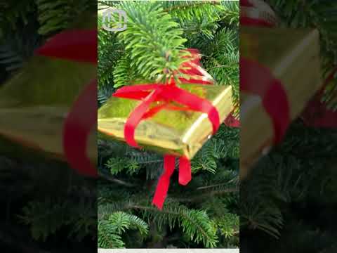 DIY Christmas HACK: Ornament ideas #holidayswithyoutube