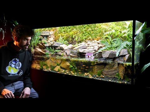 I Built an Epic Vampire Crab Paludarium in my Parents Aquarium