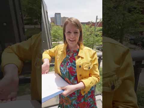 What sounds do animals make… in English? 🐔 🐸 🐄 🐶 🐈