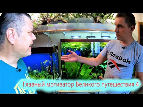 Tuapse aquarist Nikolai
