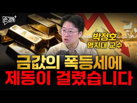 금값도 은값도 더 오르긴 어렵습니다 - 박정호 명지대 교수