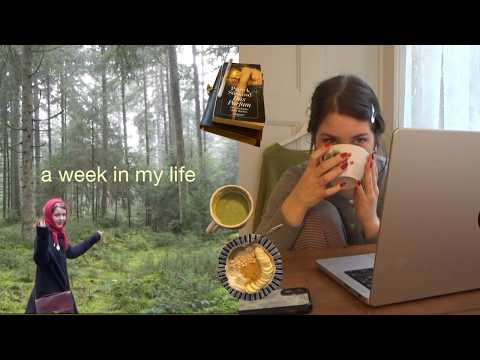 a cold but lovely week in december