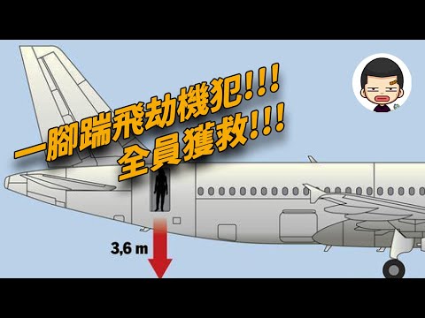 機長一腳踹飛劫機犯，機上223人全部獲救