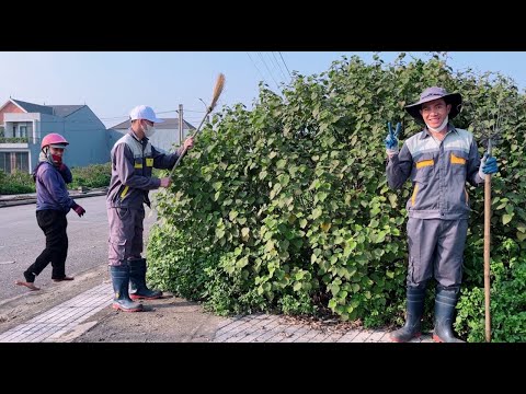 The woman's UNEXPECTED action when I was cleaning the sidewalk alone because the student had a fever