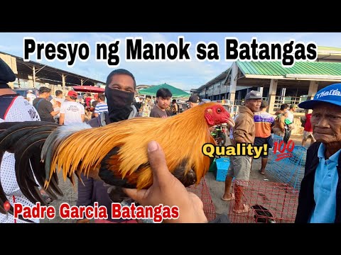 December 16, 2025 - Bentahan ng manok sa Padre Garcia Batangas Livestock Auction Market