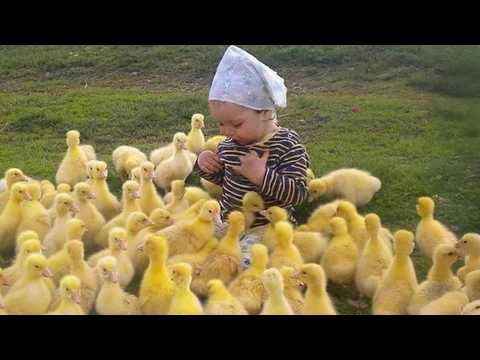 When Your Baby and Farm Animals Instantly Become Best Friends ❤️