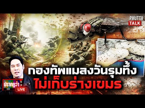 Swarms of flies invade Preah Vihear temple, gnawing at the bodies of Cambodians; Thai soldiers su...