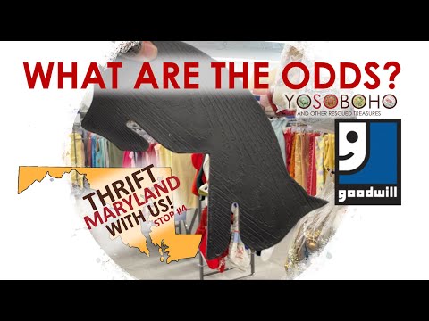 What are the odds of this? 🤔 COME THRIFT GOODWILL WITH US - our Final MD GW! 😊 Stop 4