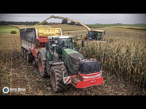 Krone Big X 1180 Feldhäcksler mit 14 Reiher EasyCollect von LU Hamester- MAIS 25  Musik&Sound Part 1