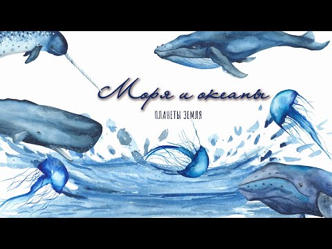 МОРЯ И ОКЕАНЫ ПЛАНЕТЫ ЗЕМЛЯ