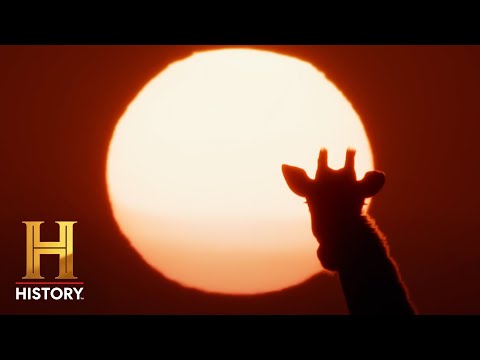 ALONE Africa: Extended Sneak Peek | History