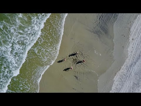 OUR OWN PRIVATE BEACH