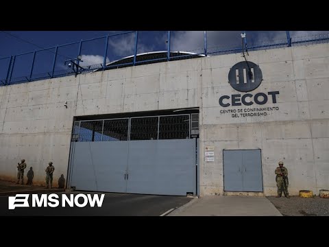 Pulled '60 Minutes' segment on Trump immigration policy accidentally airs online