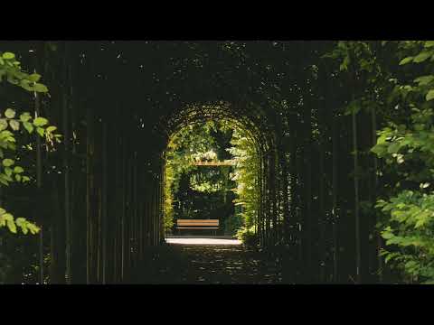 𝐏𝐥𝐚𝐲𝐥𝐢𝐬𝐭 l 환상방황