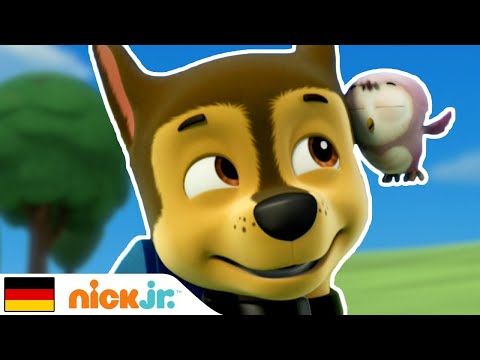 Paw Patrol | Lerne mit den Paw Patrols - Teil 2 🐾 | Nick Jr.