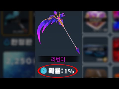 극악의 확률로 뽑을 수 있다는 라벤더 세트 리뷰