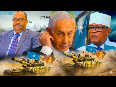 Shirqooladda Cusub ee Soomaaliya Loo Maleegay & Sucuudiga oo Diyarahiisu Duqeyn Bilaabeen Dagaalka