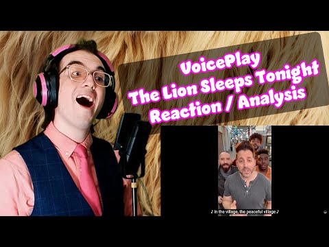 Like a HUG in MUSICAL FORM!! | The Lion Sleeps Tonight - VoicePlay | Acapella Reaction/Analysis