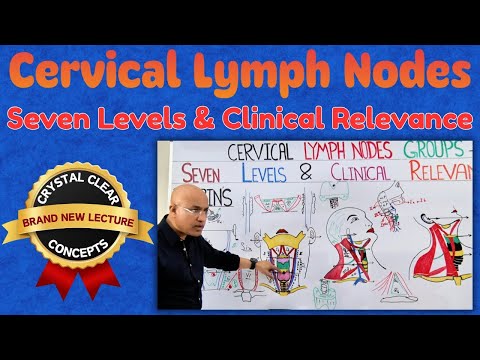 Cervical Lymph Nodes | Seven Levels by Robbins and Clinical Relevance