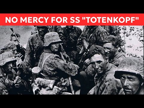 The Devil's Division: How the Soviets Annihilated Hitler's Most Fanatical Soldiers