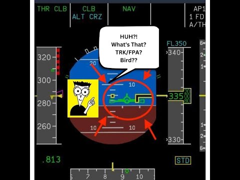 Airbus A320 Tutorial | Unlocking Precision Flying with Flight Directors and TRK/FPA