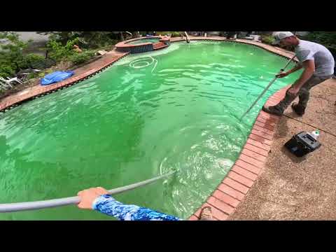 POV Really Green Pool Transformation!