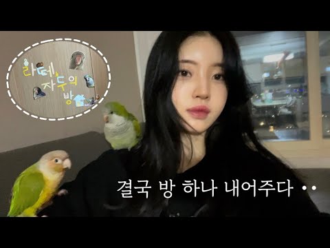 [앵무새 브이로그2] 전새계약 | 에어비앵비ㅣ새엄마 방에서 쫒겨나다 ••