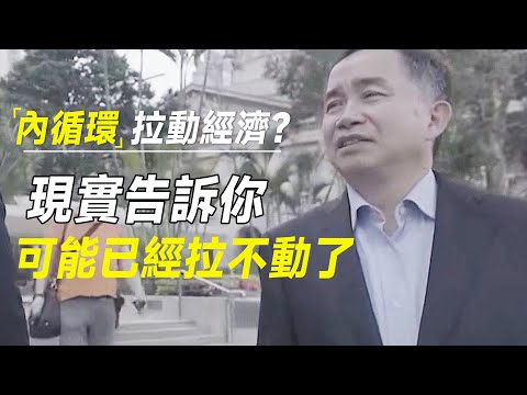 指望内循环拉动经济？现实告诉你：老百姓可能已经拉不动了 #十三邀 #许知远#罗翔#王石