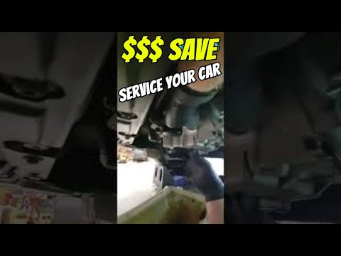 DIY Ford Focus Oil Change: Save $$ on Your 2013-2018 Model!