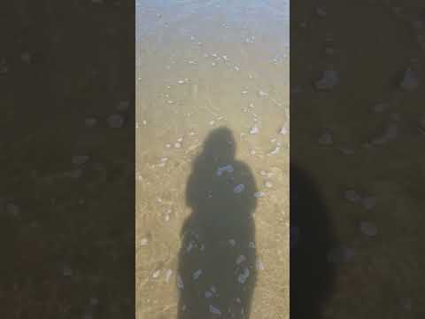 #beach  #ocean #sittingonthedockofthebay #beachvibes