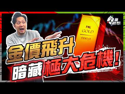 #黃金 最大買家不是❌央行！？ETF推升金價背後，隱藏極大危機！需求疲弱，央行收手，金價支柱崩壞？【施追擊】