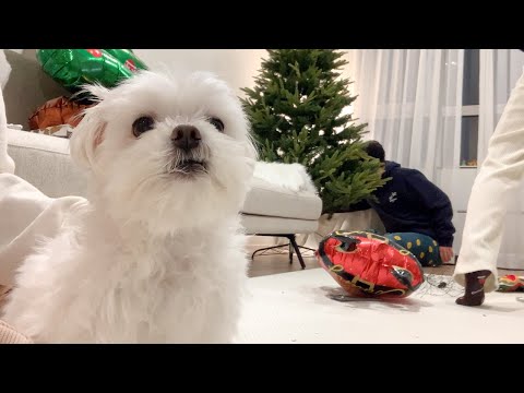 다들 트리 만들었어?